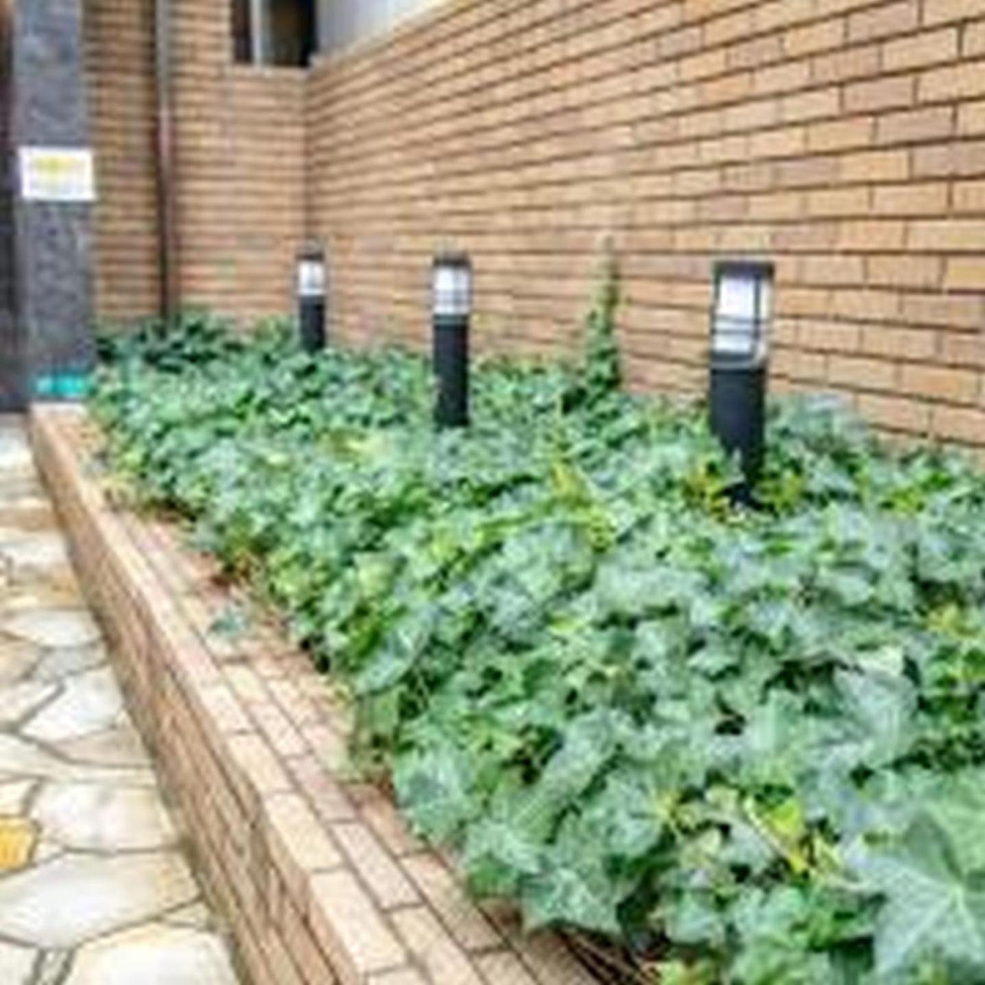 Yuki 501 Apartman Oszaka Kültér fotó
